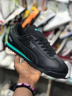 Fashion Sneakers