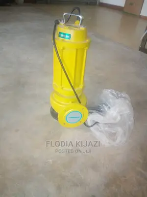 Orginal Pump