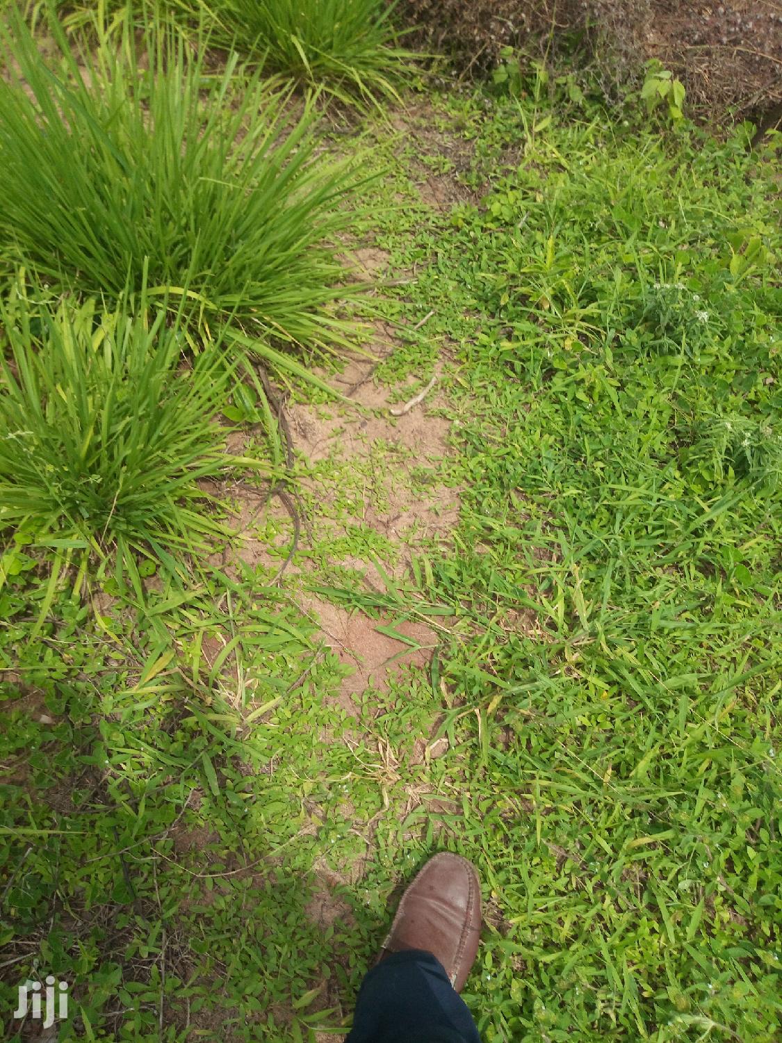 Shamba Linauzwa