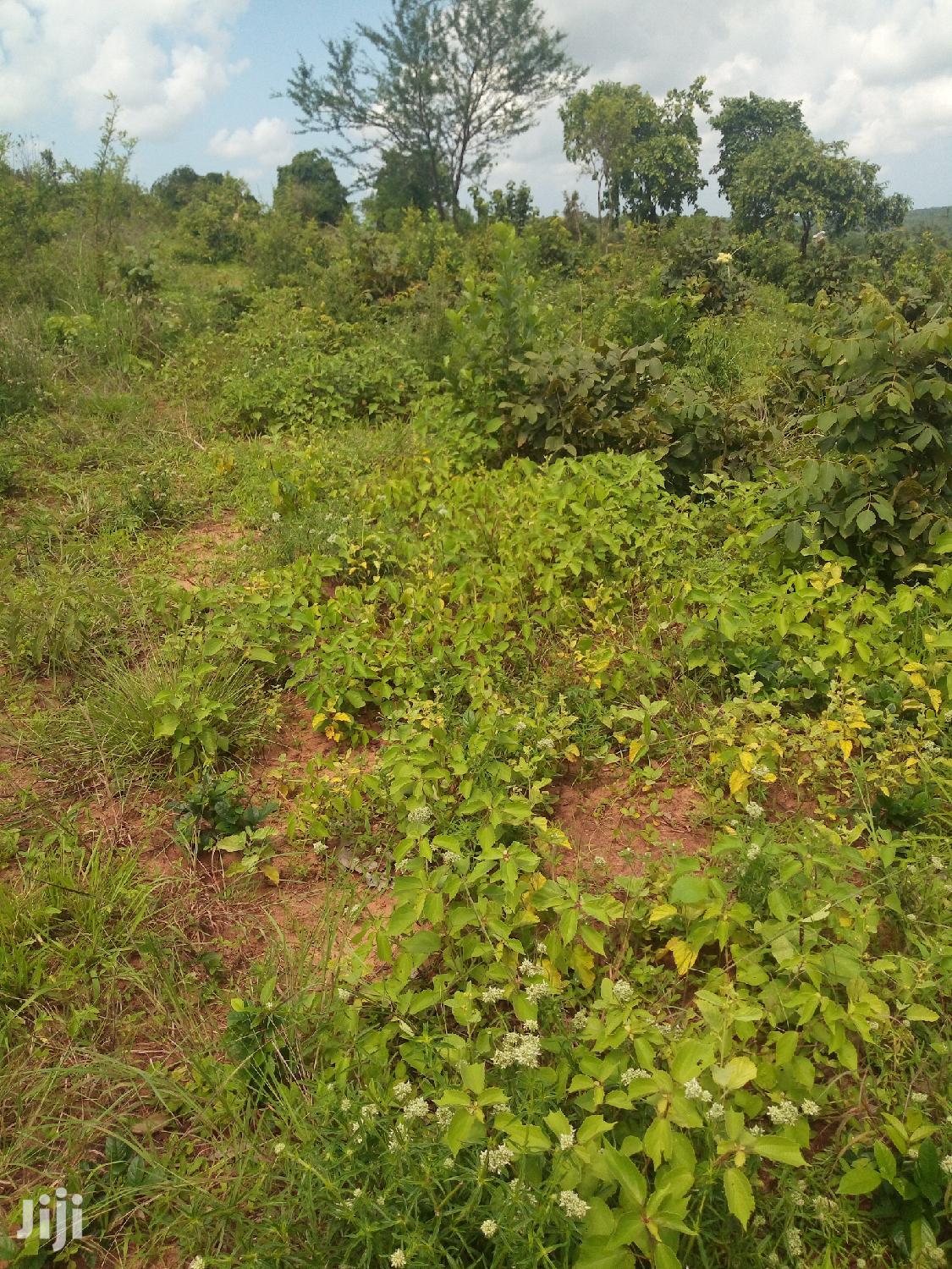 Shamba Linauzwa