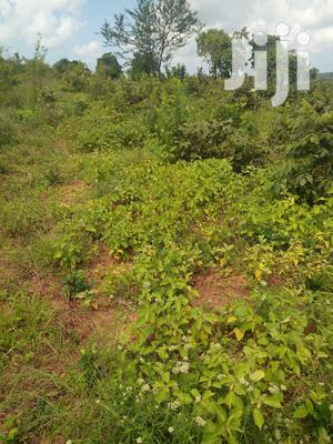 Shamba Linauzwa