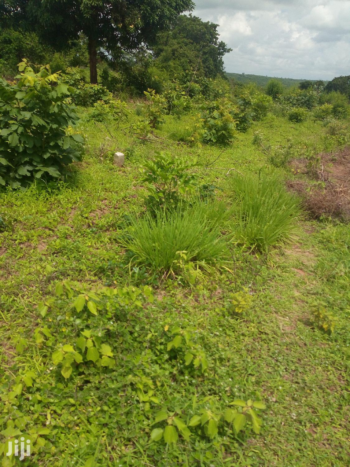 Shamba Linauzwa