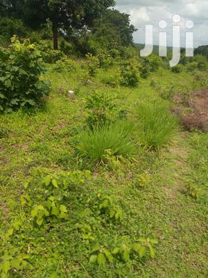 Shamba Linauzwa