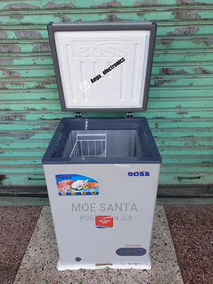 Boss Freezer Litre 100