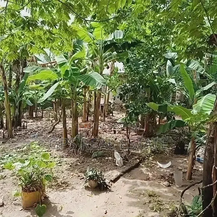 3bdrm House in Evans Mansa, Kinondoni for Sale