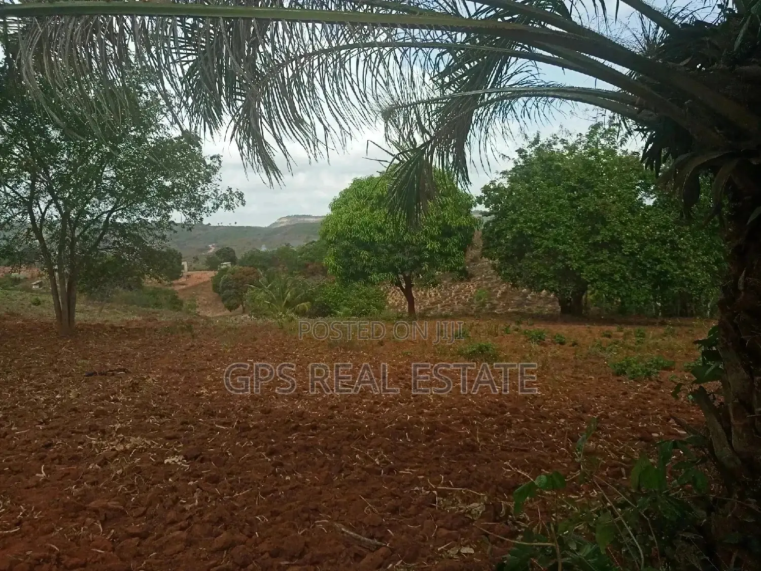 Shamba Linauzwa ( Land for Sale 6 Acres )