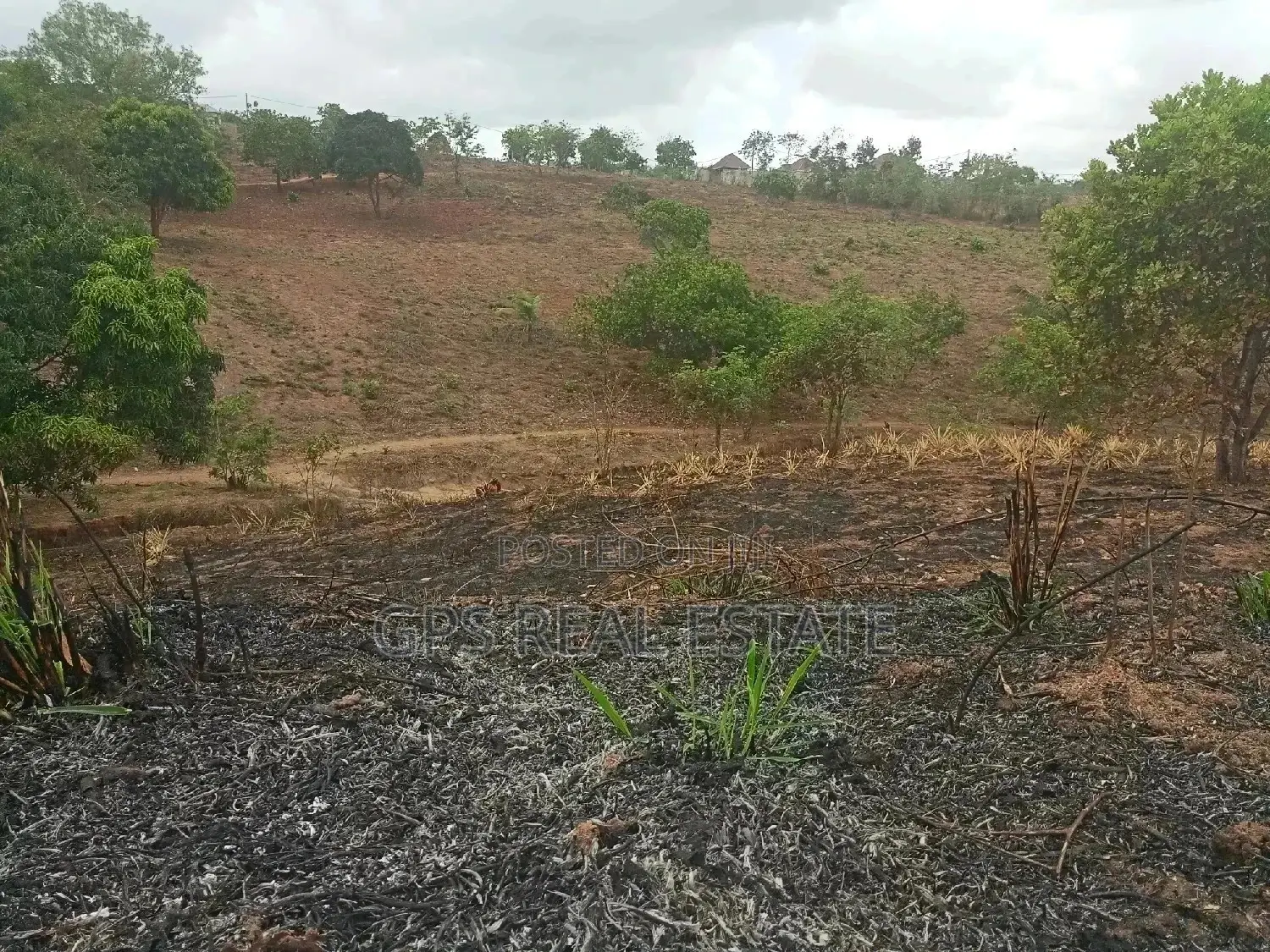 Shamba Linauzwa ( Land for Sale 6 Acres )