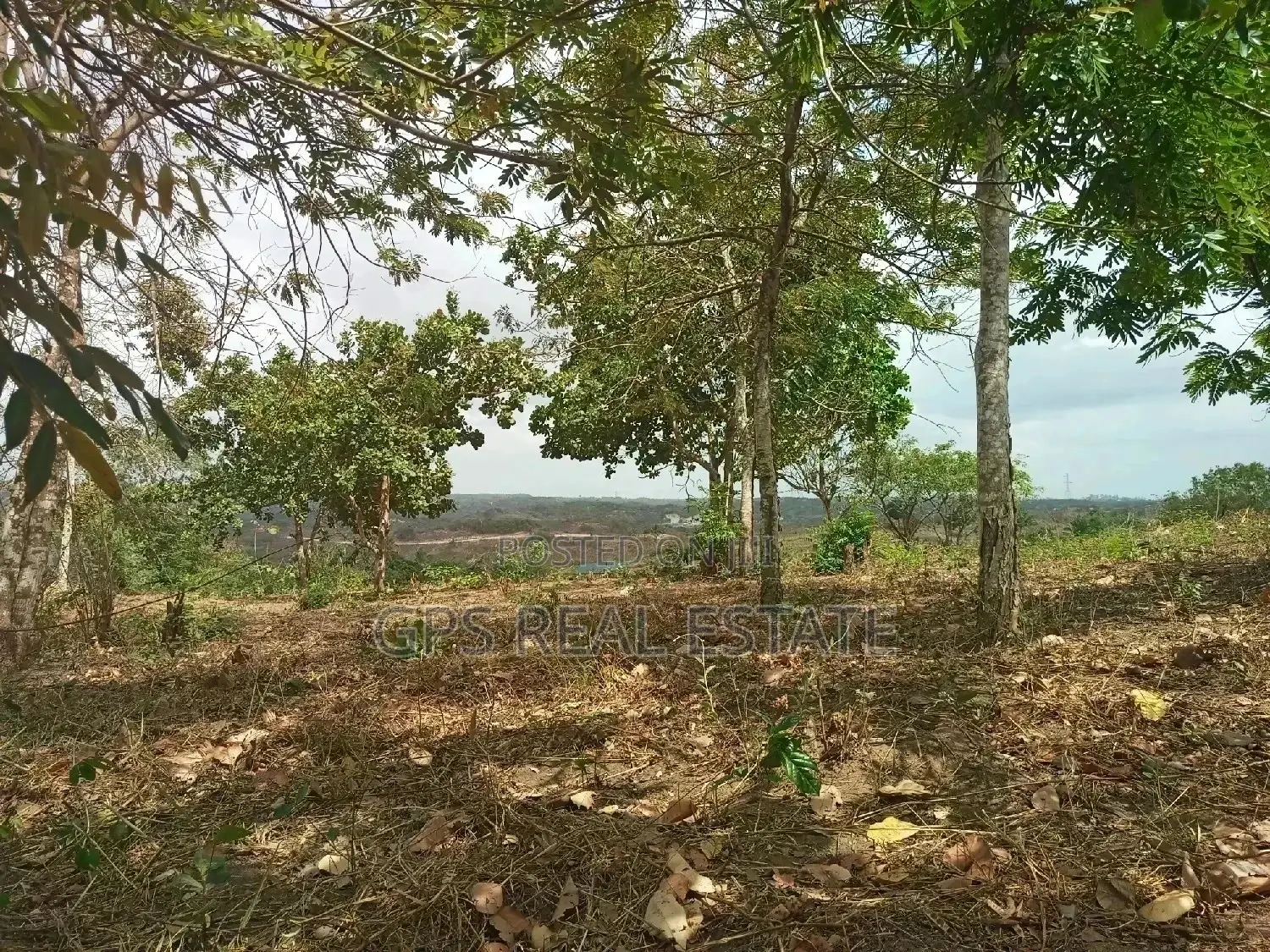 Shamba Linauzwa ( Land for Sale 6 Acres )