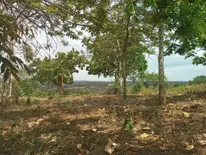 Shamba Linauzwa ( Land for Sale 6 Acres )