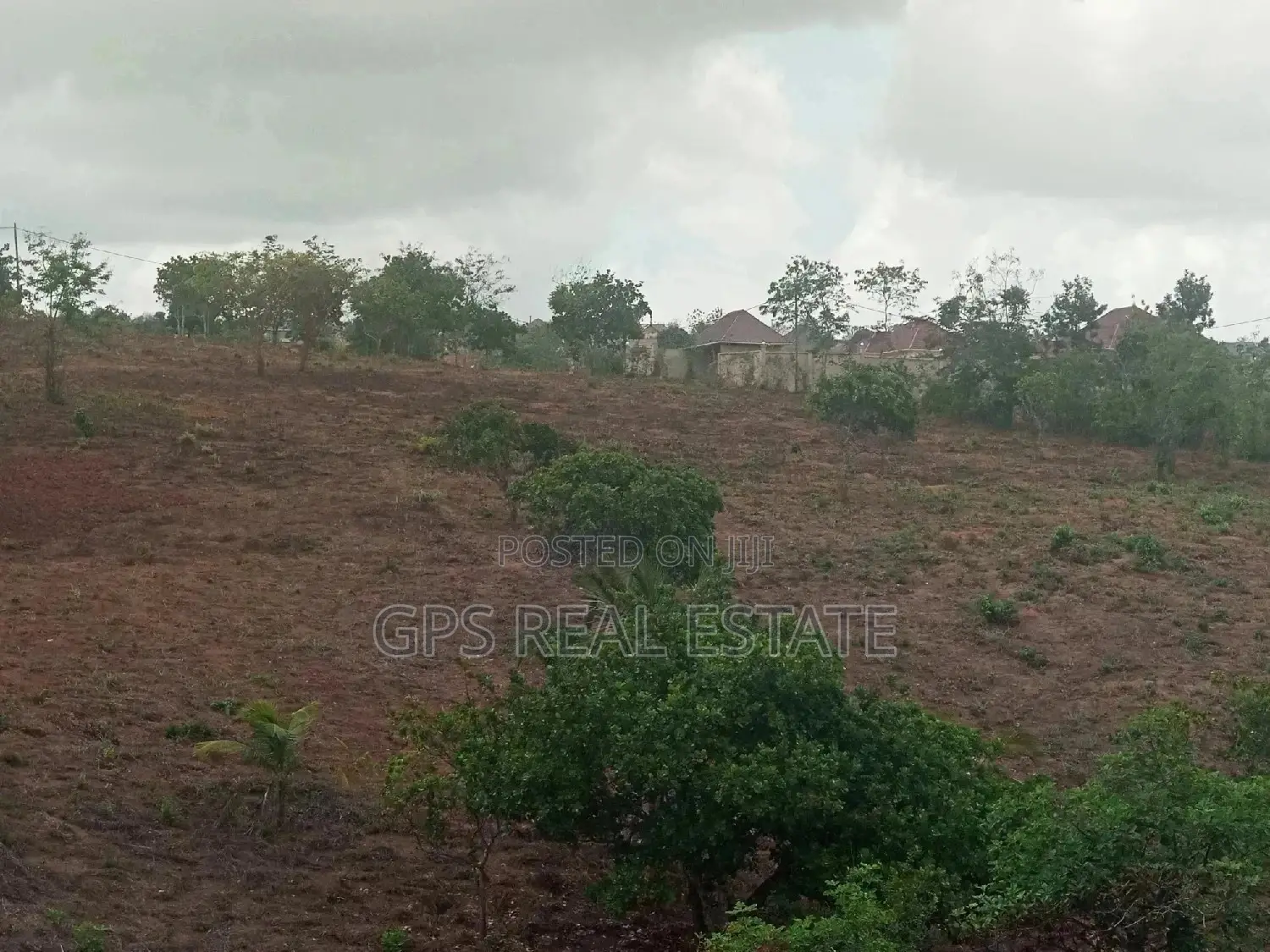 Shamba Linauzwa ( Land for Sale 6 Acres )