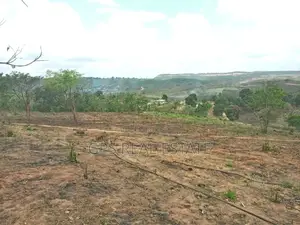 Shamba Linauzwa ( Land for Sale 6 Acres )