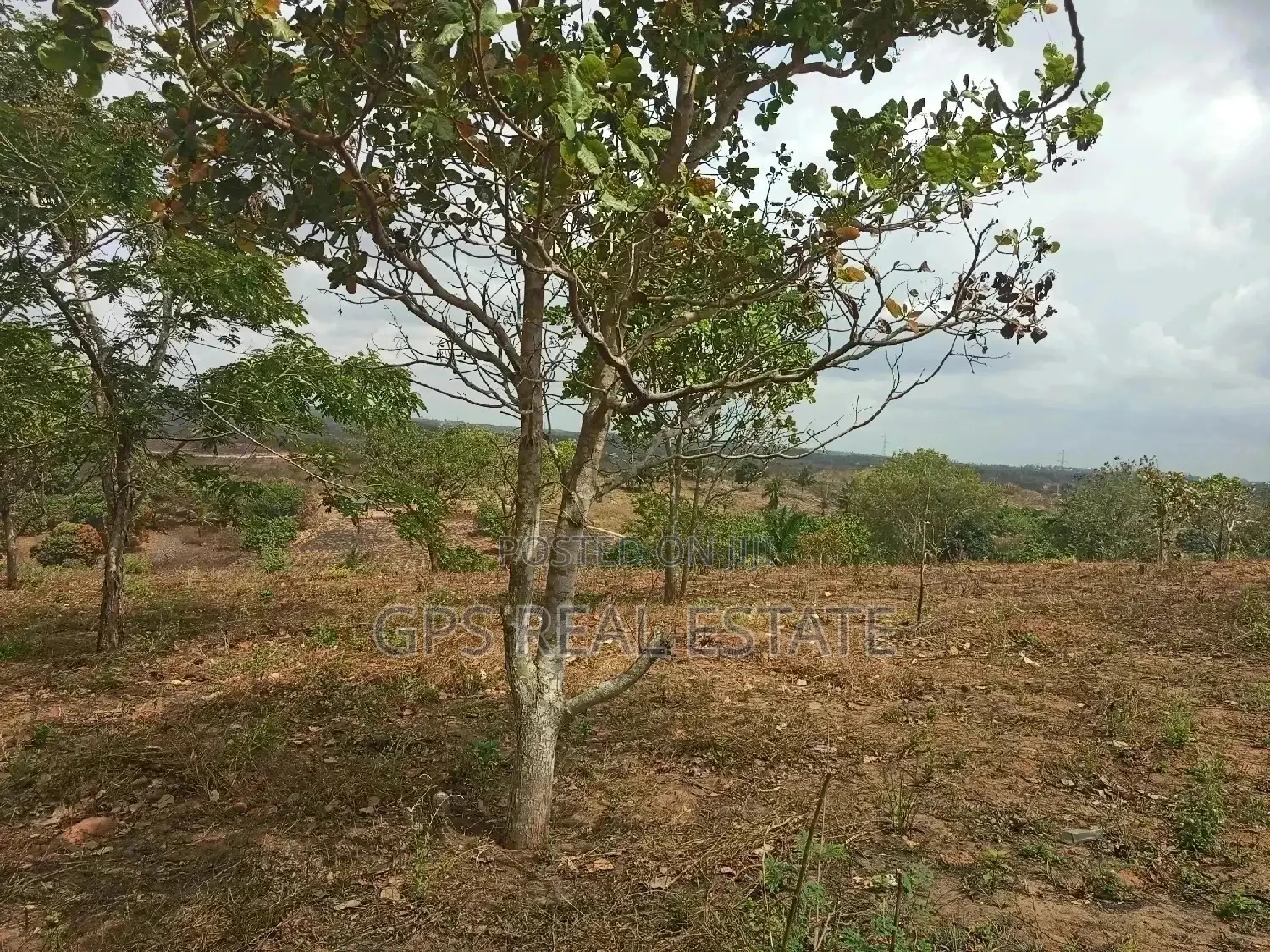 Shamba Linauzwa ( Land for Sale 6 Acres )
