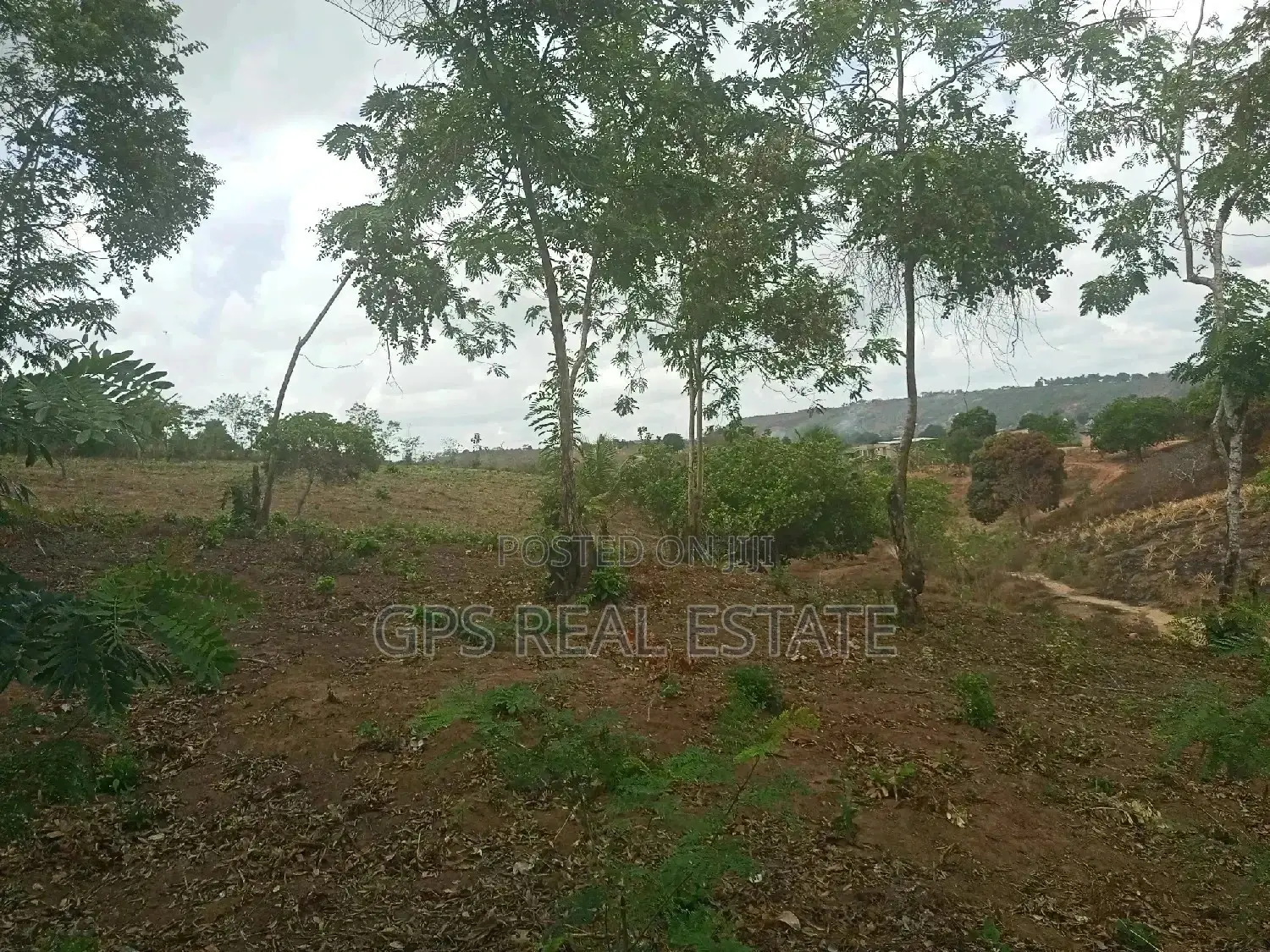 Shamba Linauzwa ( Land for Sale 6 Acres )