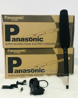 Boom Mic PANASONIC
