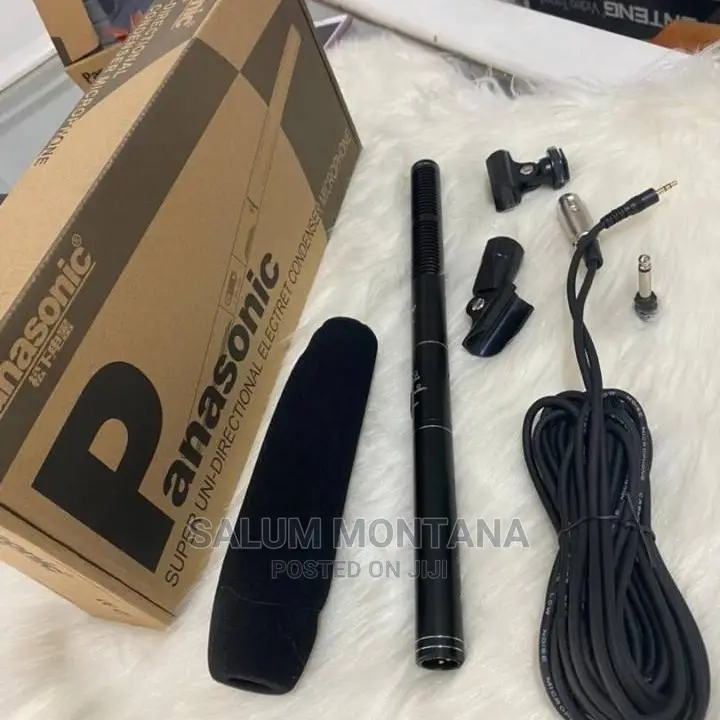 Boom Mic PANASONIC