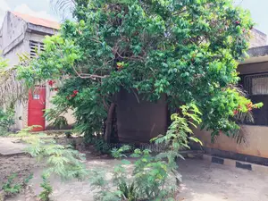 Godown Na Office Zake Linapangishwa