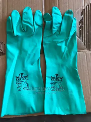 Reusable Gloves