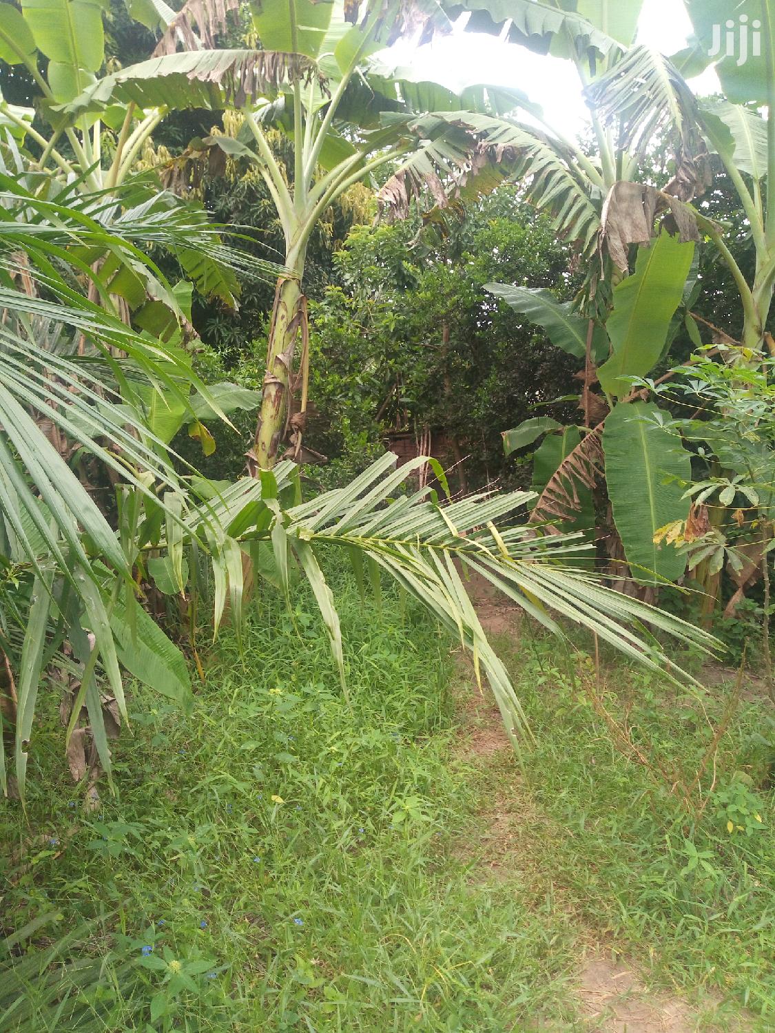 Plot For Sale