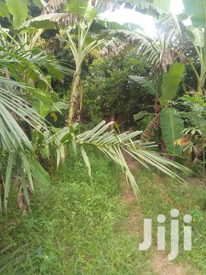 Plot For Sale