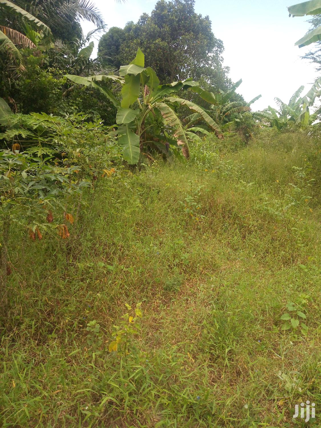 Plot For Sale