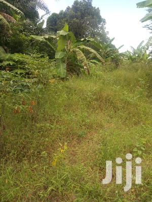 Plot For Sale