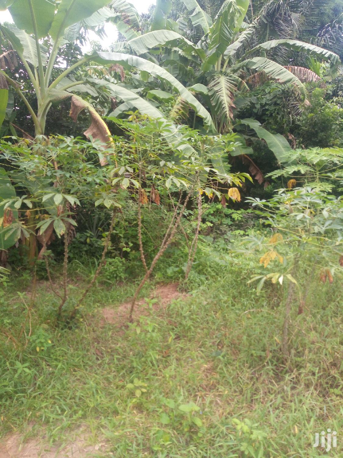 Plot For Sale