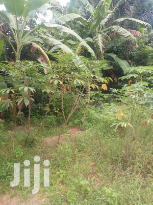 Plot For Sale