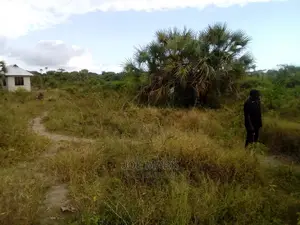 Plot for Sale at Kibaha