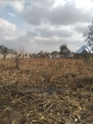 Viwanja Arusha Na Boma