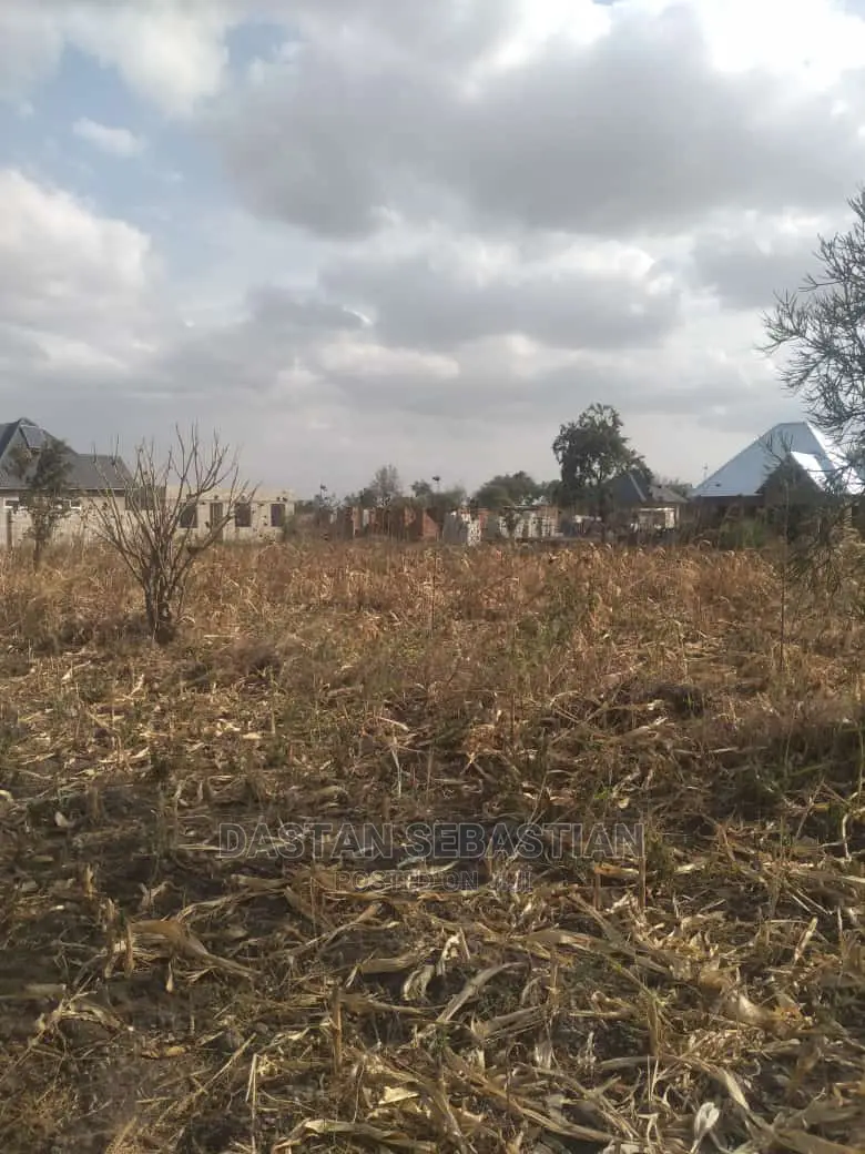 Viwanja Arusha Na Boma