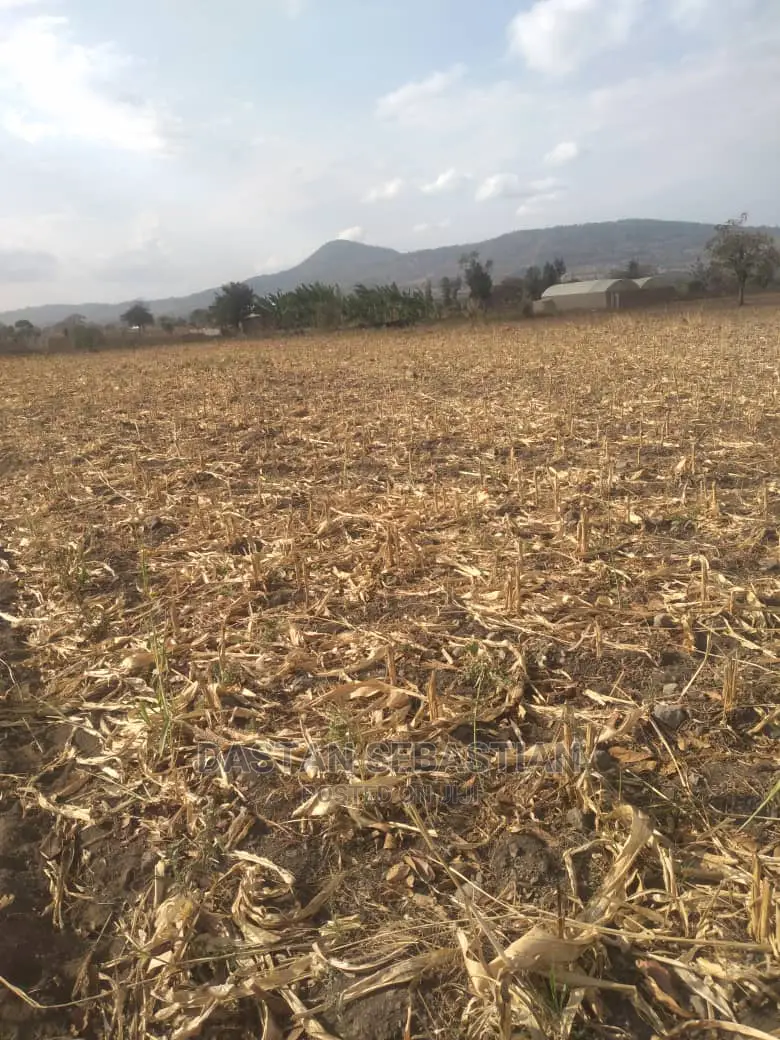 Viwanja Arusha Na Boma