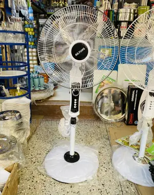 Lyons Standing Fan
