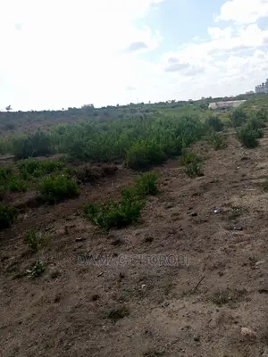 Industrial Plot For Sale Kibaha Township