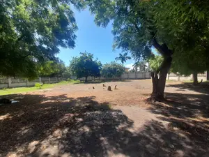 Plot for Sale ,Mbezi Beach