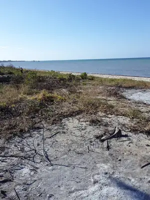 Eneo Linakamata Bahari Linauzwa Kilwa Masoko