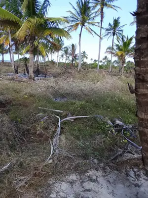 Eneo Linakamata Bahari Linauzwa Kilwa Masoko