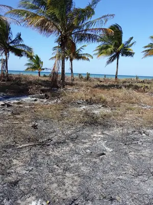 Eneo Linakamata Bahari Linauzwa Kilwa Masoko