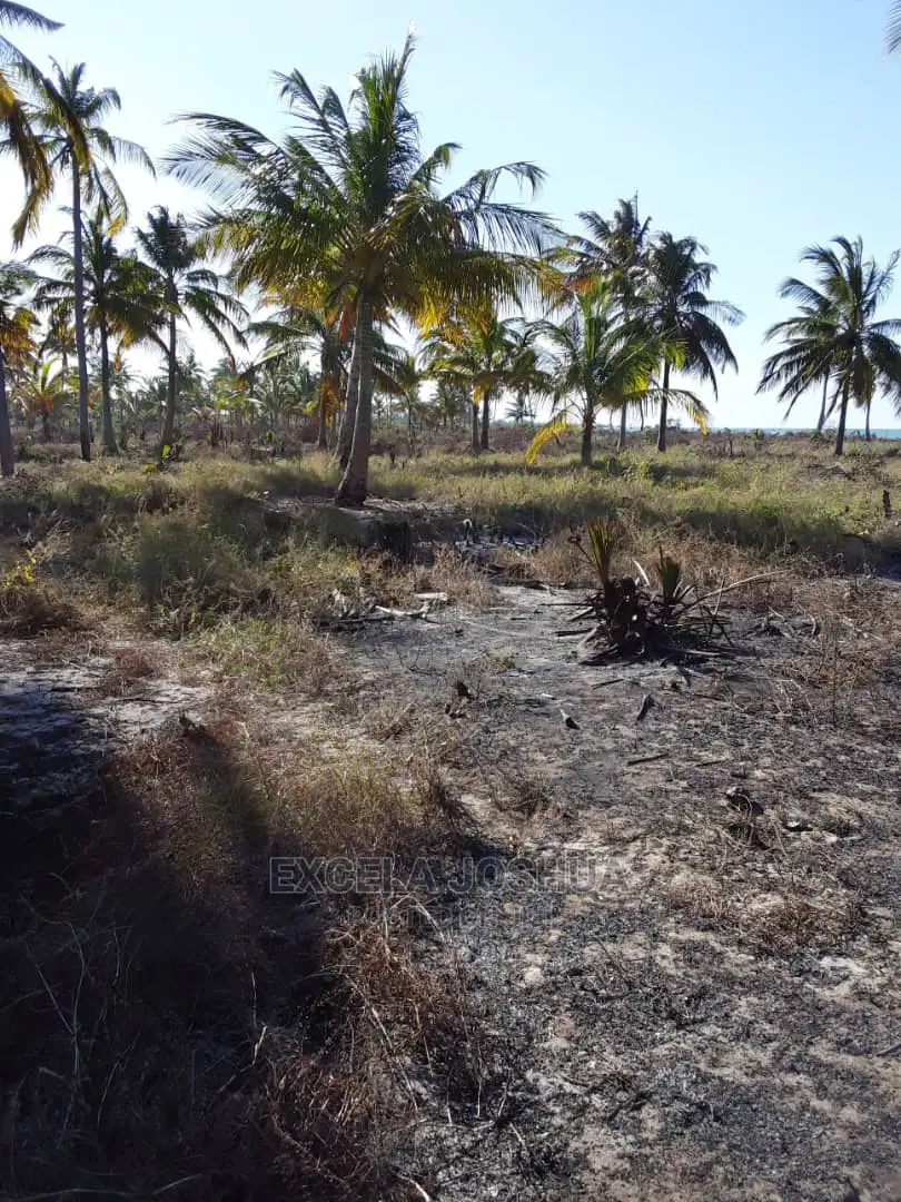 Eneo Linakamata Bahari Linauzwa Kilwa Masoko