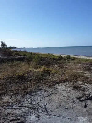 Eneo Linakamata Bahari Linauzwa Kilwa Masoko