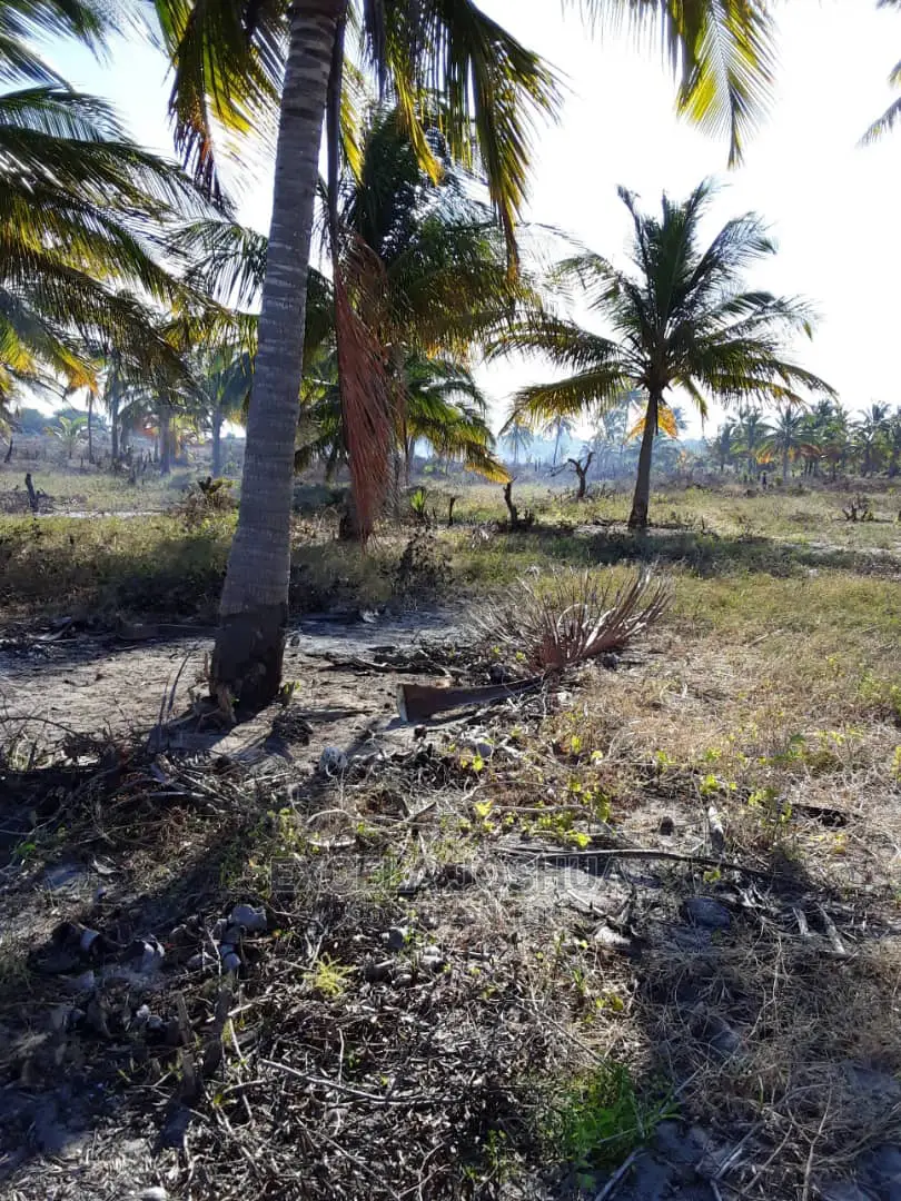 Eneo Linakamata Bahari Linauzwa Kilwa Masoko
