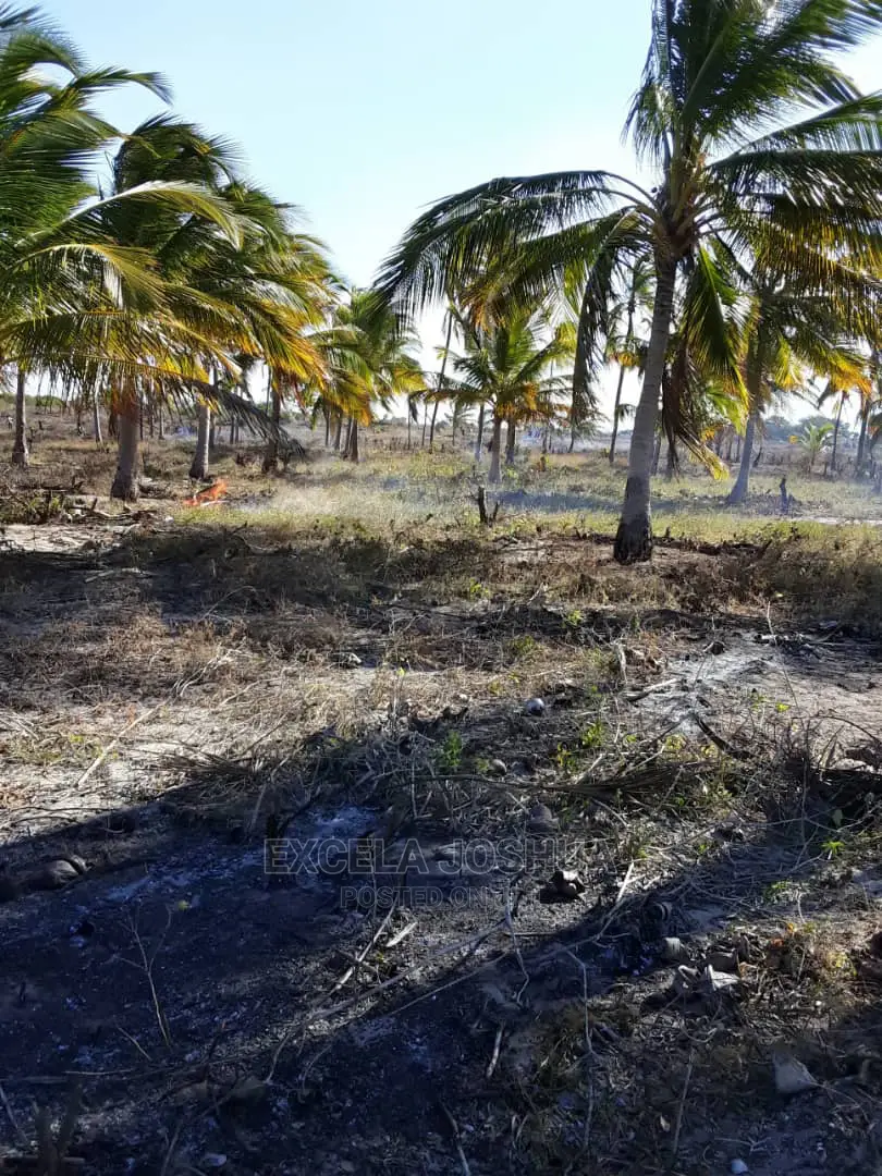Eneo Linakamata Bahari Linauzwa Kilwa Masoko