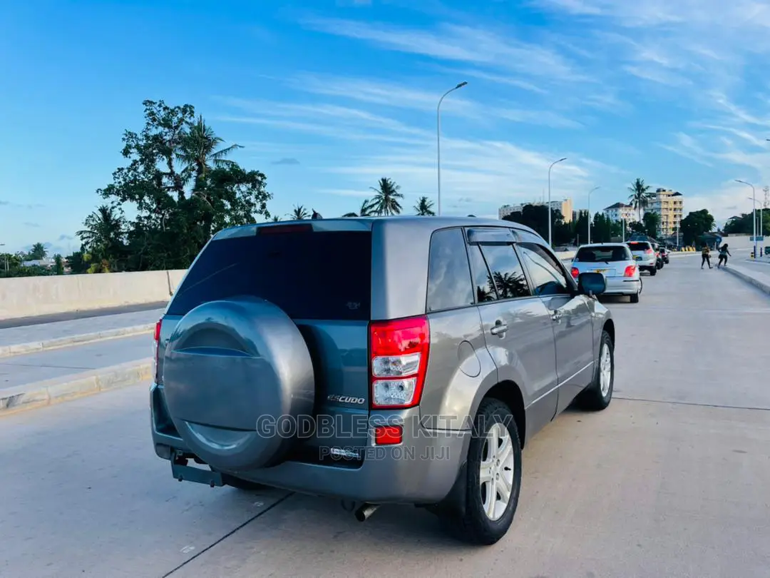 Suzuki Escudo 2006 Gray