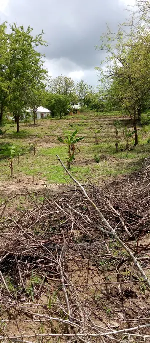 Kiwanja Kinauzwa Kibamba Luguruni