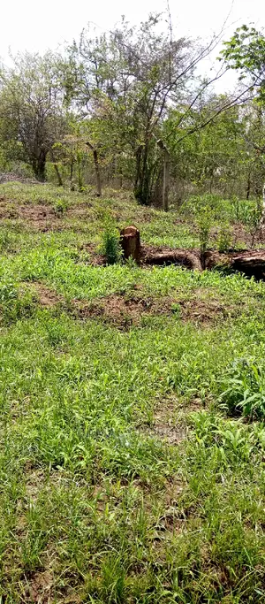 Kiwanja Kinauzwa Kibamba Luguruni
