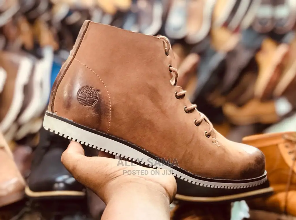 Timberland Brown