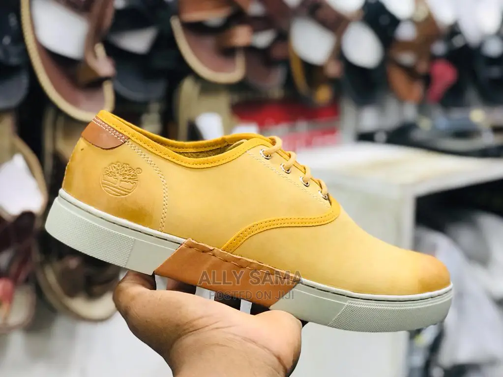 Timberland Brown