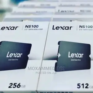 Lexar NS100