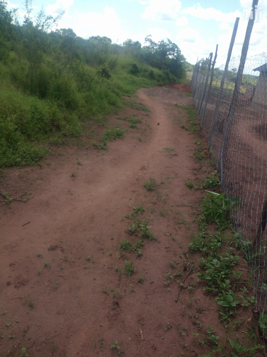 Shamba Linauzwa
