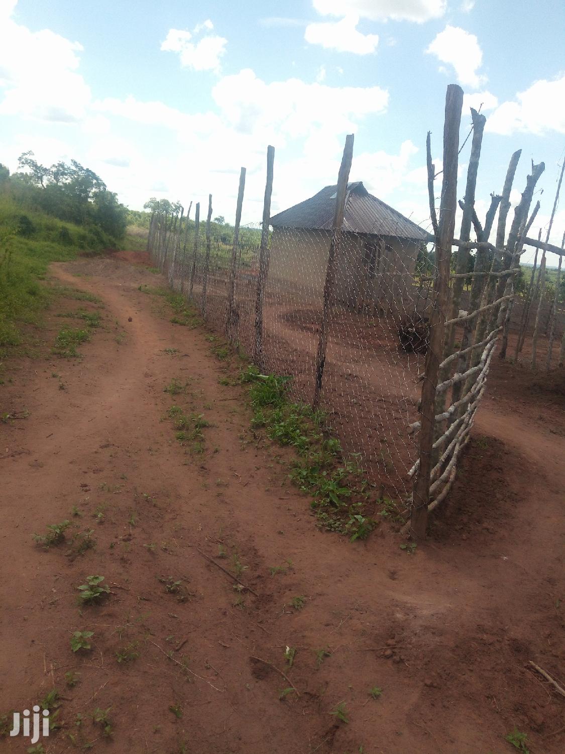 Shamba Linauzwa
