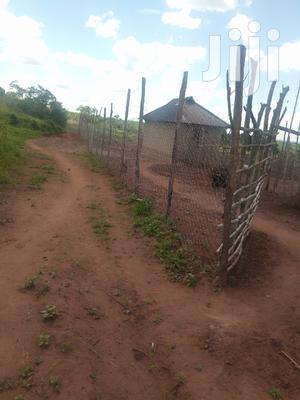 Shamba Linauzwa